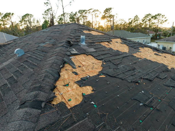 Best Commercial Roofing Services  in O, MI