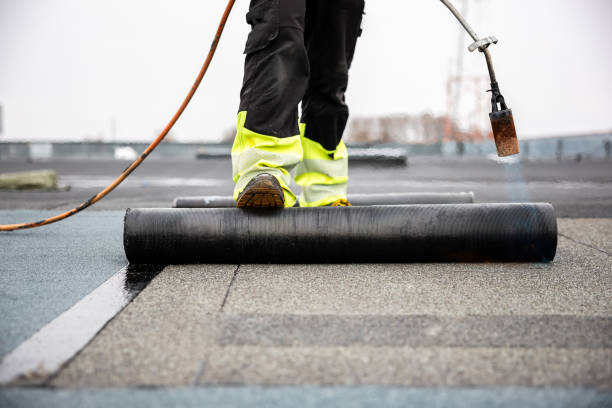 Best Roof Maintenance and Cleaning  in O, MI